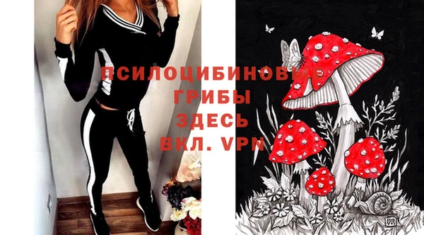 стаф Баксан