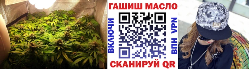 где купить наркоту  OMG ССЫЛКА  Дистиллят ТГК THC oil  Североморск 