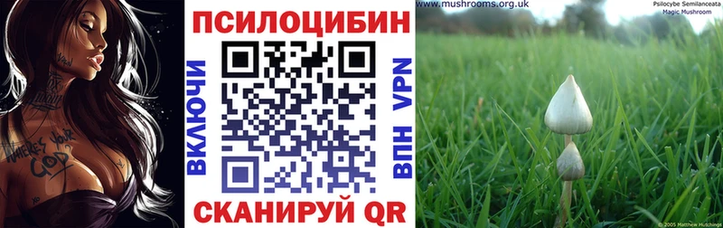 Галлюциногенные грибы ЛСД  купить  сайты  Североморск 
